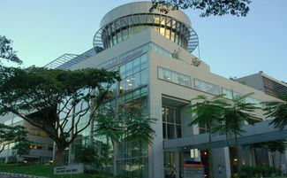 新加坡留學中介 助力自費出國留學，成就國際化教育夢想